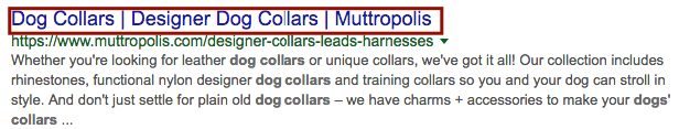 Dog Collar Searches Image Dog Collar Searches Image